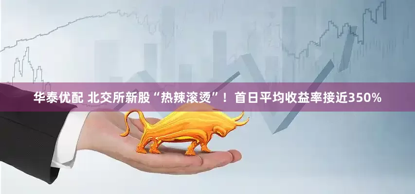 华泰优配 北交所新股“热辣滚烫”！首日平均收益率接近350%